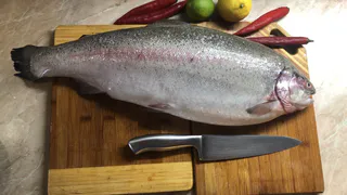 Свежая карельская форель – прямо к порогу: как заказать