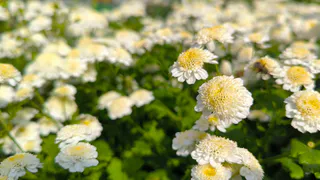 Гороскоп на 10 июля предлагает свежие идеи и предостерегает от переоценки сил