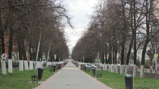 Теперь можно: в Рязани откроют 23 сквера для посещения