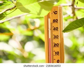 Погода недели: шараханья от тепла к холоду под шум дождя