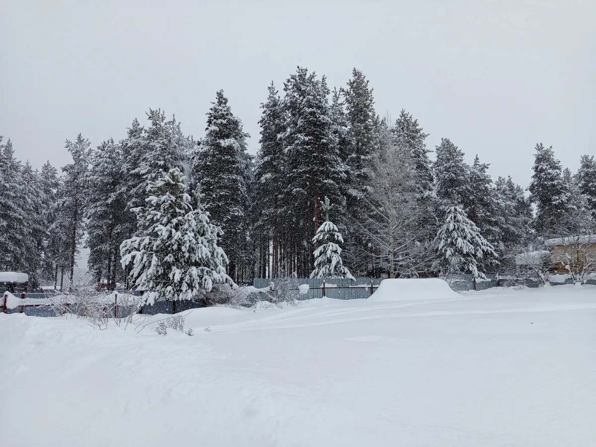 Челябинскую область ждут резкие перепады температур: ночные морозы до -25°С и дневные оттепели
