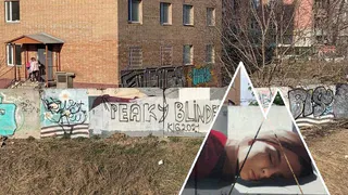 “Это нормально”: рязанский дизайнер прокомментировала уничтожение граффити известного художника