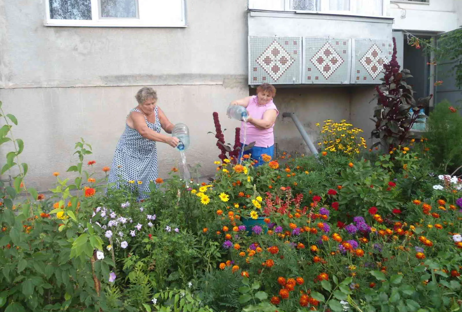 «Ведро воды не жалко»: нижнекамцы придумали необычную акцию