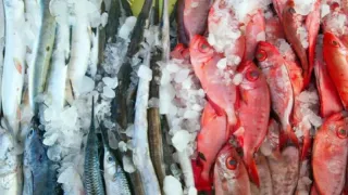 Не вздумайте подавать ко столу: именно эту рыбу ни в коем случае нельзя есть, а мы еще и детям даем