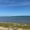 В Пензенской области выпустили в водохранилище 7,5 тысяч мальков толстолобика и белого амура