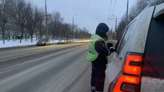 Рязанская Госавтоинспекция оштрафовала более 10 водителей за нарушения на переходах