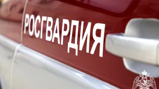Жителям Рязанской области напомнили о компенсации за сдачу оружия