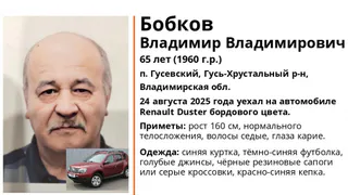 В Гусь Хрустальном районе разыскивают 65-летнего мужчину на бордовом Renault Duster