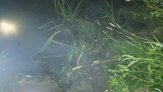 Под Рязанью водитель Lada 66 лет погиб при съезде машины в озеро