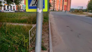 Фото-факт: дорожный знак стыдливо прячется на светофором