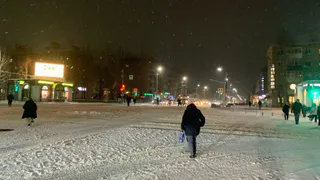 «Зимой начнется то, чего не было с 1772 года». Синоптики раскрыли очень тревожный прогноз