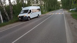 Под Рязанью водитель автобуса ГАЗ сшиб 37-летнего мужчину