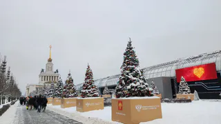 Ёлку Коми на выставке "Россия" украсили мастера народных промыслов