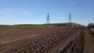 Хамбушевская свалка почти ликвидирована