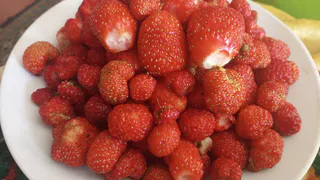 Это самая вредная ягода: а мы едим ее как деликатес, еще и детей заставляем