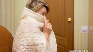 Жительница Рязанской области украла у 86-летней пенсионерки обогреватель