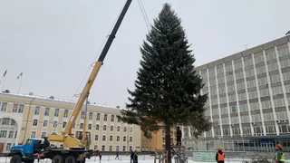Новогодние праздники переносят из-за сложной ситуации: январские каникулы-2026 теперь станут иными - полный график