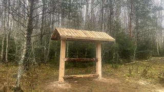 В лесах Владимирской области установили 39 солонцов для диких животных