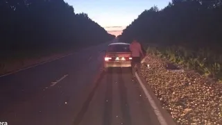 Под Рязанью в ДТП 23 июня с лосём пострадала девочка 13 лет