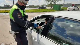 Долги рязанцев по автоштрафам выросли на 20 миллионов: разбираемся, почему