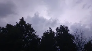 10 июля в Рязанской области ожидается гроза и до +31