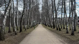 Пензенцы просят сделать безопасную пешеходную зону на ул. Рахманинова