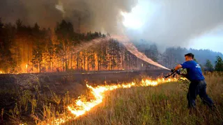 Площадь лесных пожаров в Рязанской области достигла 183 гектара