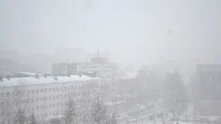 В Коми ожидается снегопад и порывистый ветер: погода на 9 апреля