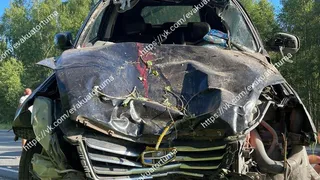 25 июня в Клепиковском районе в смертельном ДТП с лосём пострадали два человека