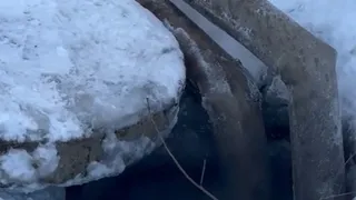 Во Владимире на Добросельском пруду откачали часть воды и очищают береговую линию от ила