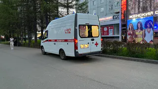 В Коми водитель погиб при столкновении с грузовиком на трассе