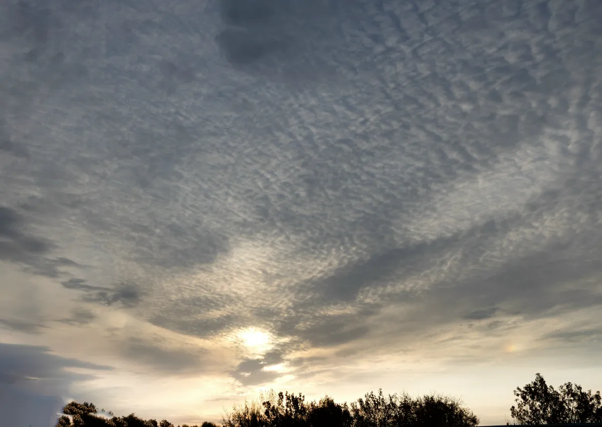 Зима для татарстанцев начнется с дождей