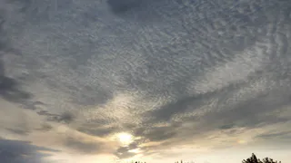 Зима для татарстанцев начнется с дождей