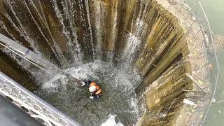 В Рязани на Рюменском пруду спасли шесть уток