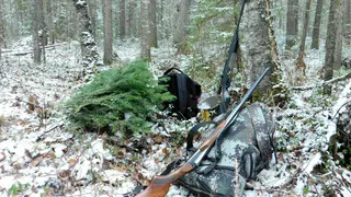 Росгвардия в Коми выявила нарушения и изъяла охотничье оружие