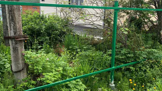 Полностью лишатся земли: новое строгое правило с 17 июля для всех, у кого есть участок в собственности