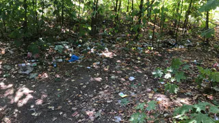 Жители Рязани жалуются на свалку из бутылок возле «Пятой базы» в Канищеве
