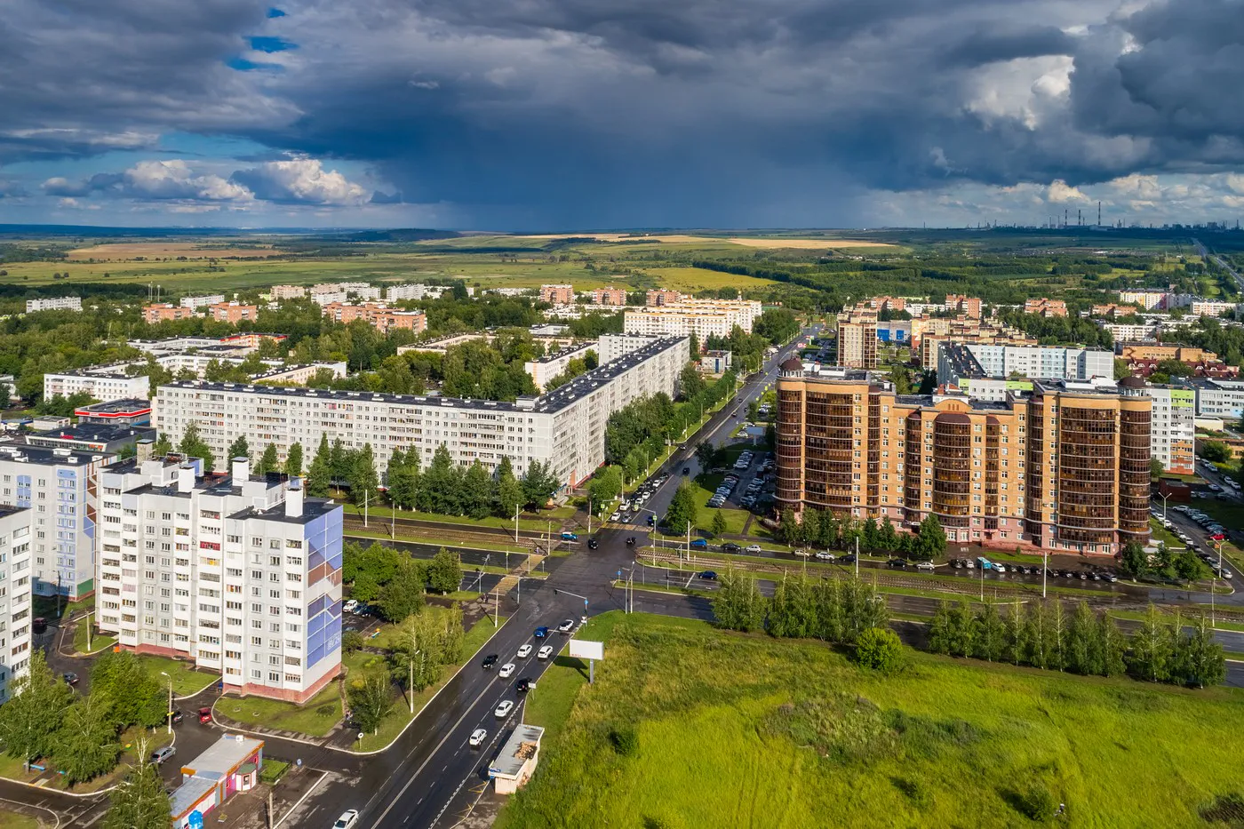 В Нижнекамске закупили деревьев и кустарников на 12 млн рублей