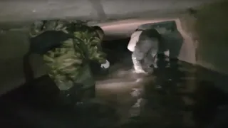 Много рыбы, летучие мыши и орудия быта XIX века. Как сейчас выглядит коллектор реки Лыбедь изнутри