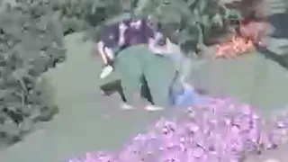 В Скопине подростки испортили декоративного медведя у здания администрации