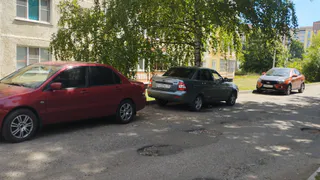 В поселке Керамзавода дерево упало на припаркованный автомобиль