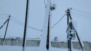 Синоптики рассказали о погоде в Рязанской области до конца января