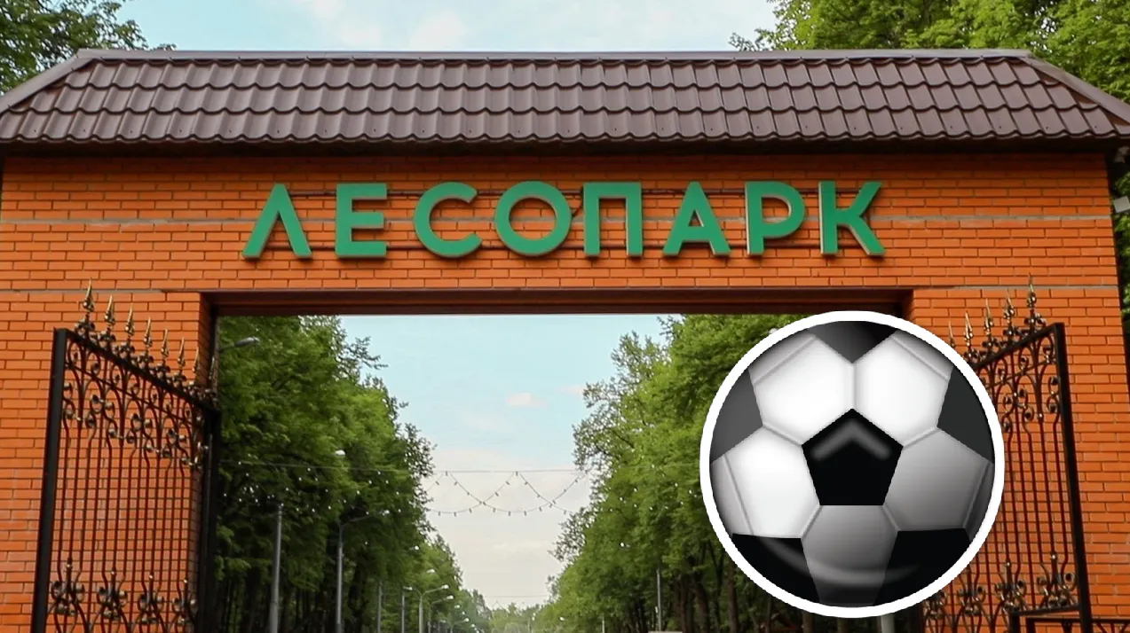 Спортивная суббота: квалифицированные инструкторы будут ждать рязанцев на бесплатные занятия в парках