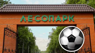 Спортивная суббота: квалифицированные инструкторы будут ждать рязанцев на бесплатные занятия в парках