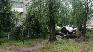 На Брянщину 20 июля пришёл мощный ливень с градом