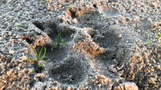 Настало время пуховиков:  в ночь на среду в Рязани похолодает до -3 градусов