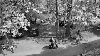 В Гусь-Хрустальном ищут сбившего ребенка водителя электросамоката