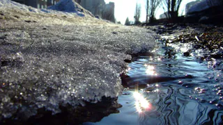 Практически весна: синоптики шокировали прогнозом погоды в Рязани на Новый год 2023