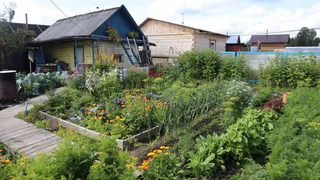 "Вот теперь все": дачникам грозит штраф в 10 000 рублей – вот за что