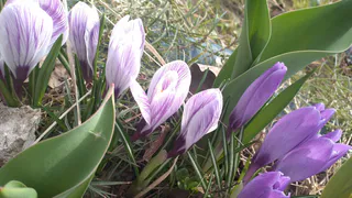 Погода в Коми ставит рекорды: в столице теплее нормы на 9 градусов